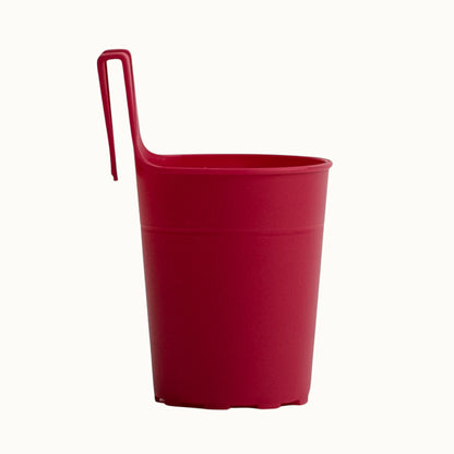 Cupzy Collection